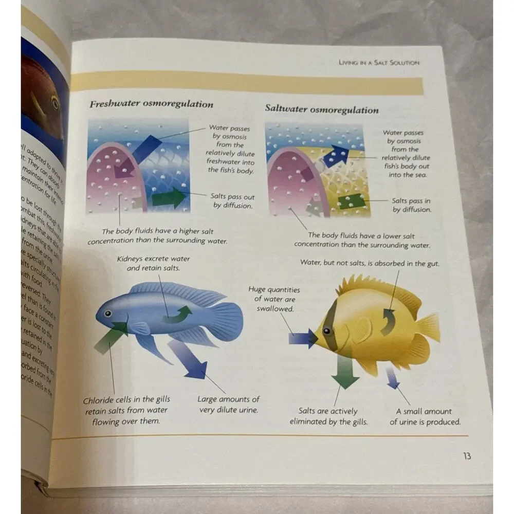 The Marine Aquarium Mini Encyclopedia Series for Aquarium Hobbyists Paperback
